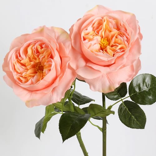 2Pcs Fake Austin Rose Peonies Flowers Real Touch Peach Roses with Stems 25.60'' Latex Peony Artificial Flowers for Home Decor Flower Arrangement Wedding Centerpieces Valentine's Day (Peach) - color: Peach