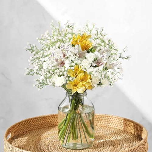 N&T NIETING Babys Breath Artificial Flowers Bulk, 15Pcs Fake Gypsophila Bouquet Flowers Real Touch Faux Babies Breath Arrangement for Wedding Floral Party Home Centerpieces Vase Decoration, White - color: White, size: 15pcs