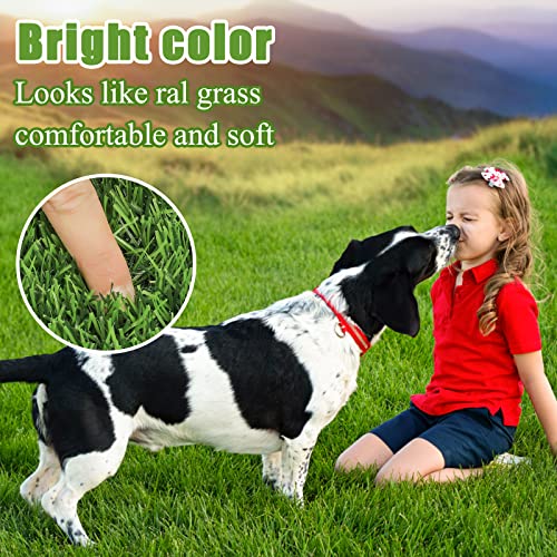 Bsmathom Artificial Grass Rug Indoor Outdoor Rug, Professional Dog Potty Training Rug, Fake Grass Rug Synthetic Grass Mat Door Mats with Drainage Holes for Balcony Patio Garden (39.3 x 31.5Inch) - size: 39.3 x 31.5 Inches