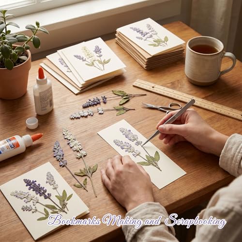 48 Pcs Natural Dried Pressed Garden Sage Flowers for Cake Decorating, Real Dry Flower for Resin Jewelry Making, DIY Bookmarks Art Crafts(Garden Sage) - color: Garden Sage