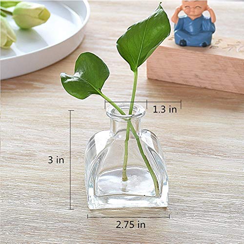 Set of 3 Mini Clear Glass Vase,Small Flower Bud Vase Hydroponics Planter Decorative for Flower,Table,Party,Home,Centerpieces(clear 1) - color: Clear 1