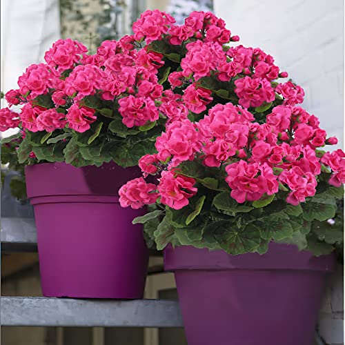 CISDUEO 2 Pcs Artificial Geraniums Outdoor Silk Flowers Rose Red Artificial Geranium Bush Faux Flowers Red Geraniums for Floral Home Decor Indoor Garden Patio Grave Cemetary Vase Table Centerpiece - color: Rose Red