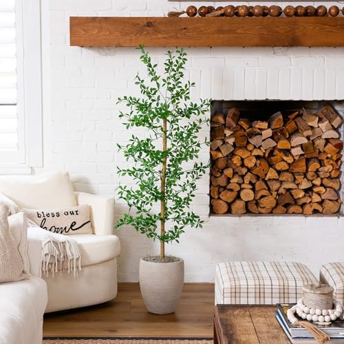 Nearly Natural 5ft Artificial Shady Lady Black Olive Tree - Mediterranean Style Indoor Fake Tree