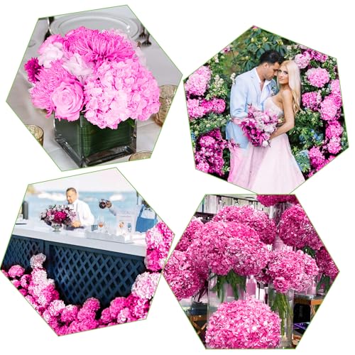 Coferset 5pcs Artificial Hydrangea Flowers Real Touch 20 inch Lifelike Hydrangea Flower for Home Wedding Office Party Living Room Decoration (Light Fuchsia) - color: Light Fuchsia