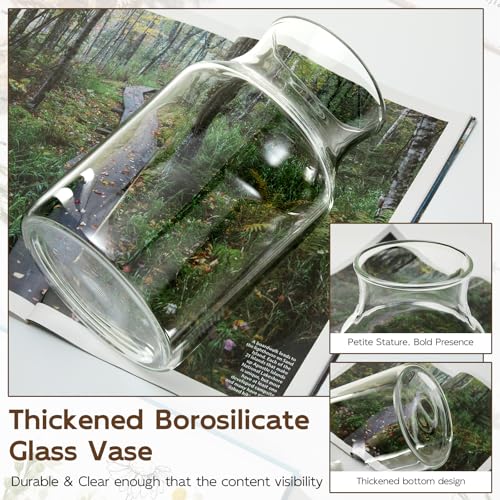 Clear Glass Vase, 8 inch Glass Flower Vase for Plants, Small Vase for Vases for Centerpiece, Home, Wedding, Living Room, Dining Table - size: 4.7"W x 7.8"H