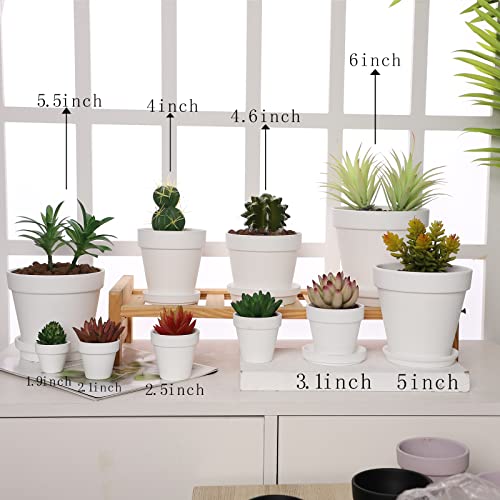 Terra Cotta Pots with Saucer- 6-Pack Large Terracotta Pot Clay Pots 5.5'' Clay Ceramic Pottery Planter Cactus Flower Pots Succulent Pot with Drainage Hole- for Plants,Crafts terra cotta planter(White) - color: White