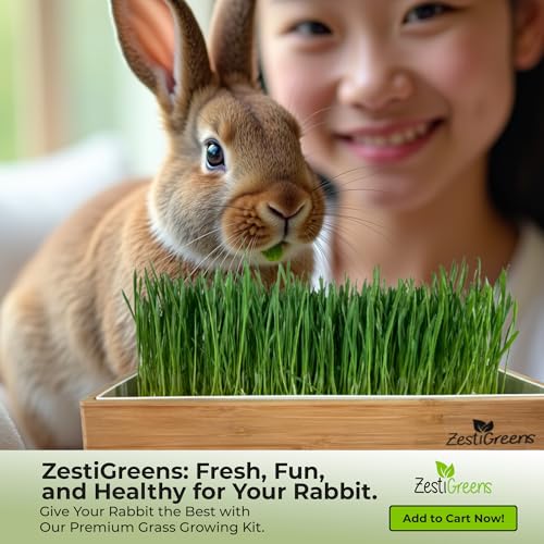 Rabbit Grass Growing Kit – Easy, Self-Watering System for Fresh, Healthy Indoor Greens - color: Rabbit Grass Kit