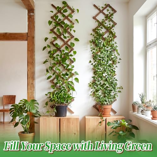 2Packs 13x78in Expandable Wood Wall Trellis for Climbing Plants Outdoor - Lattice Panels for Outside Indoor Balcony Patio Garden, Ideal for Ivy, Vines, Clematis, Roses - style: 2 packs
