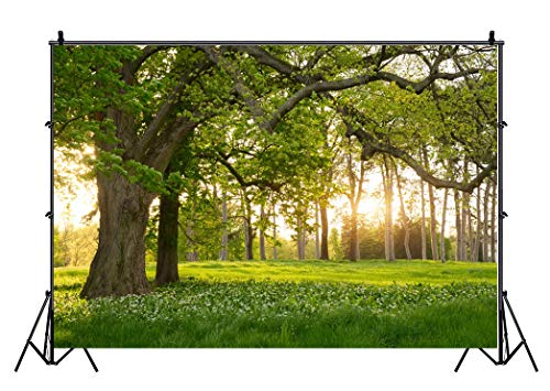 Leowefowa 7X5FT Spring Backdrop Rural Forest Trees Backdrops for Photography Blooming Flowers Green Grassland Nature Vinyl Photo Background Kids Adults Outdoor Travel Portraits Studio Props - size: 7x5ft