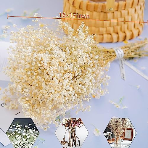 17.2 Inch Dried Flowers Baby's Breath Bouquet - 2500+ Dry Flowers,Natural Gypsophila Branches for Home Decor, Wedding, Table Decor, DIY Wreath Floral, Dry Flowers Bulk for Vase (White) - color: White