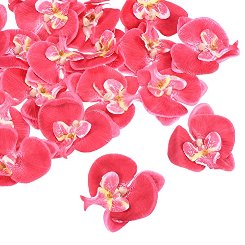 PATIKIL 7cm/2.8" Artificial Orchid Flower Heads, 20 Pack Silk Phalaenopsis Fake Butterfly Orchid Heads for Wedding Floral Bouquet Decor DIY Craft Making, Fuchsia - color: Fuchsia, size: 2.8"