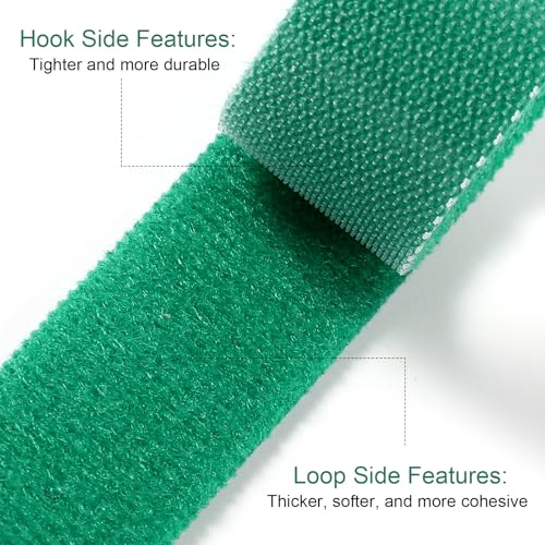 Plant Tape for Climbing Plants - Reusable Green Plant Tape & Adjustable Garden Ties for Greenhouse, Tree, and Floral Support (197 ft x 0.59 in)