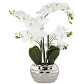 Dahlia Studios Potted Faux Artificial Flowers Arrangements Realistic White Phalaenopsis Orchid in Silver Pot Home Decoration Living Room Office Bedroom Bathroom Kitchen Dining Room 23" High