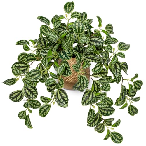 Briful Faux Plants Indoor 17.7in Fake Watermelon Peperomia Plant in Gold Pot with Realistic Silk Green Leaves Artificial Potted Plant for Home Office Table Shelf Desk Modern Room Decor - color: Dark Green-gold Pot