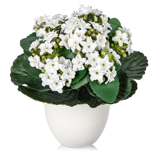 Kalanchoe Artificial Flowers Bush White Faux Silk Flowers Artificial Plants & Flowers in Vase Small Potted Plant Fake Flower with Pot Arrangement Home Decor Office Bathroom Shelf Desk Decoration - color: Kalanchoe - White (8.3inch)
