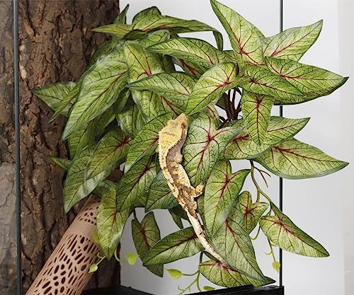 Reptile Plants for Terrarium, Amphibian Habitat Decor Artificial Hanging Plants with Suction Cup - Fake Arrowhead Plants Green Syngonium Podophyllum - color: Fake Arrowhead Plants Green