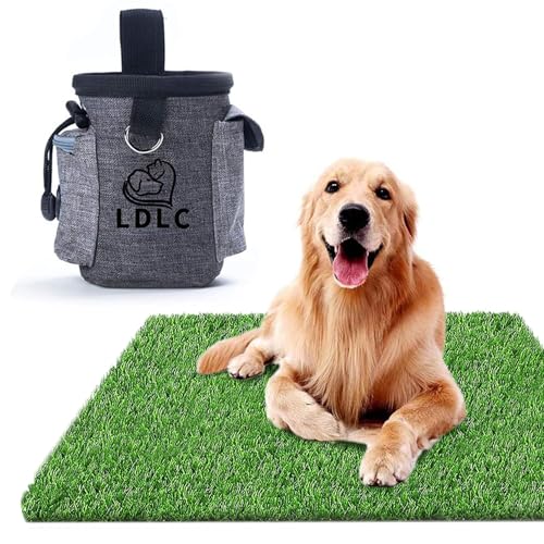Dog Grass Pad for Dogs - size: 6 Count (Pack of 1)