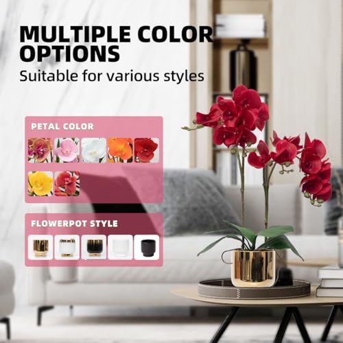 CXGS Orchids Artificial Flowers Real Touch Fake Flowers in Ceramic Pot 20" Red Faux Orchid Plant Lifelike Silk Phalaenopsis for Centerpiece Hotel Home Indoor Decor - color: Red- Gold Vase