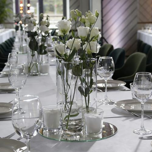 6 Pack Glass Cylinder Flower Vases 14 Inch Tall Bulk Clear Vase for Centerpieces Hurricane Floating Candle Holder for Table Home Home Decor Floral Shelf Party Dining Wedding Holiday Decoration - size: 14 Inch