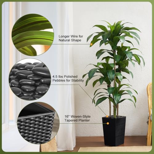 VeriNatural 6FT Artificial Dracaena Tree - UV Resistant Faux Tropical Plant, Potted Fake Tree with Taper Planter & Pebbles - Indoor Outdoor Greenery for Home, Porch, Living Room, Bedroom Decor, VN127 - color: Black, size: 6ft