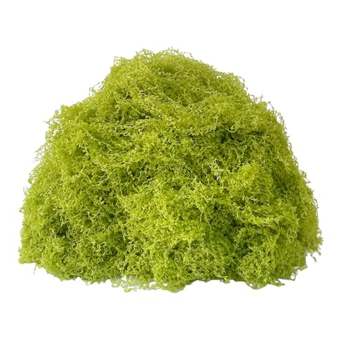 KEYUSHOP Fake Green Moss for Potted Plants 5.3 OZ Preserved Reindeer Moss Craft Decorative Artificial Moss for DIY Decorative Moss Table Centerpieces Decor Wall Art - color: Fruit Green 5.3 Oz