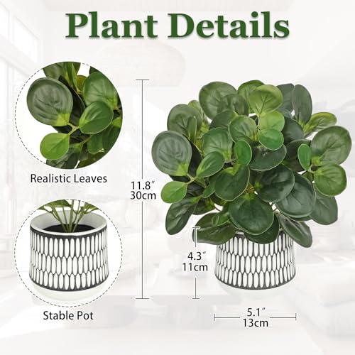 12" Artificial Plants Indoor Small Fake Plant in Ceramic Pot, Silk Plants for Home Decor Indoor, Faux Peperomia Potted Plant for Shelves, Desks, Home, Room, Office, Bedroom, Entryway, Tabletop Decor - color: #Green #4