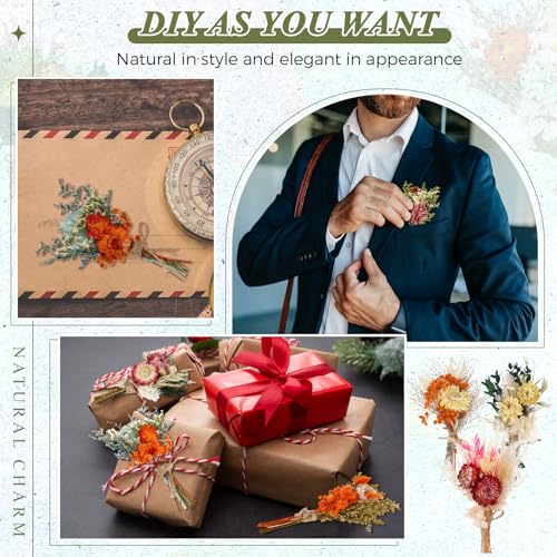 Layhit 12 Pcs Boho Dried Flower Bouquet Mini Wedding Handmade Dry Flowers Decor for Vase Crafts DIY Photo Boutonniere for Men Floral Plant for Bridesmaid Gift Birthday Decor(African Daisy) - style: Gerbera Daisy