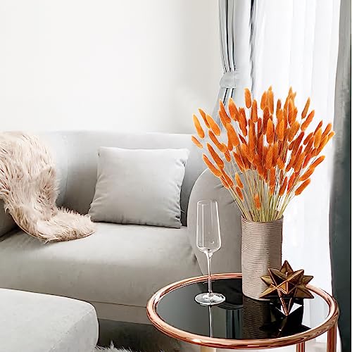 CISDUEO 120pcs Dried Bunny Tails Flowers Orange Lagurus Ovatus Tail Dried Flowers Pampas Grass Natural Dried Floral Arrangement for Boho Fall Decor Autumn Wedding DIY Farmhouse Christmas Halloween - color: Orange