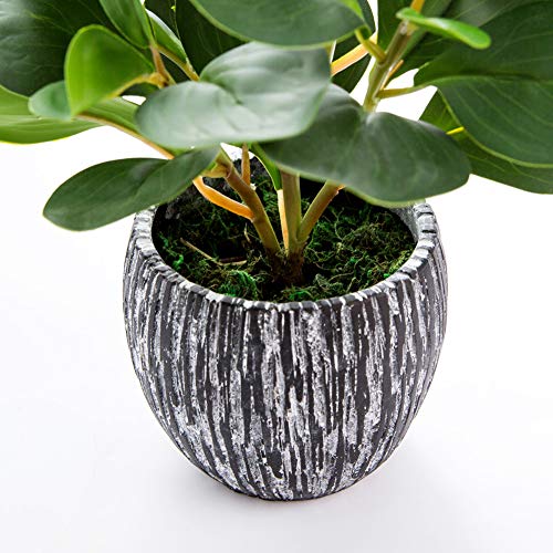 AlphaAcc Artificial Plants Real Looking and Touching Fake Plant Evergreen Plastic Fiddle Leaf Fig Plant with Rustic Black Cement Planter for Housewarming Office Desk Decor - color: Green Fiddle Leaf Fig Plant