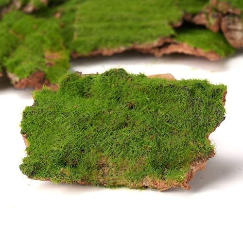 Assorted Artificial Moss Bark, Decorative Mossy Tree Bark for DIY Crafts, Fairy Gardens, Terrariums, Floral Arrangements (Realistic Green - 100gr)