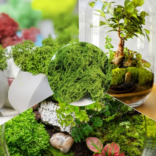 Fake Green Moss for Potted Plants Indoor, 5.3oz Artificial Moss for Crafts, Faux Decor for DIY Decorative, Model Making, Walls, Glass Containers