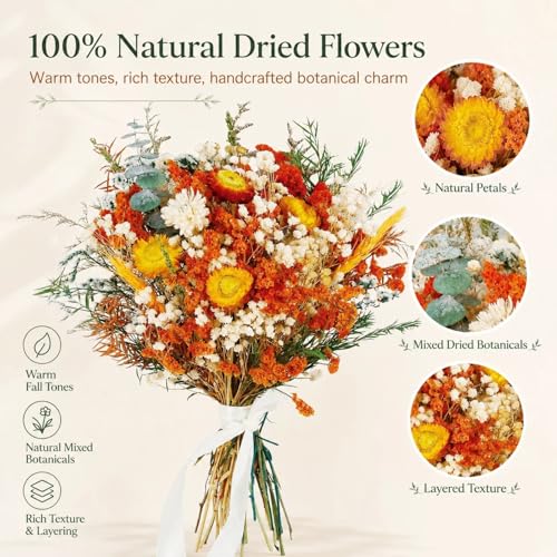 17" Dried Flower Bouquets, 100% Natural Dried Flowers with Dried Daisy,Dried Baby Breath,Chrysanthemum Flowers Decor for Vase Rustic Boho Home Decor,Party Fall Decor - color: Orange Daisy