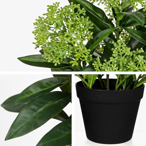 Briful Artificial Skimmia Japonica Plant in Pot, 20.8" Tall Faux Green Berry Flowers with Black Pot, Realistic Potted Floral Arrangement for Home Office Table Shelf Decor - color: Green Black