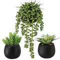 Winlyn Set of 3 Artificial Succulents Plants in Black Cement Planters Faux Potted Plants Aloe String of Pearls Donkey Tail Small House Plants 5" Tall for Table Shelf Home Office Bathroom Living Room - color: Black Cement Pots