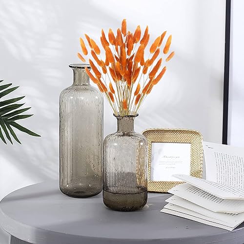 Dried Bunny Tails Flowers Lagurus Ovatus Orange Pampas Grass Natural Dried Floral Arrangement Dry Flowers for Halloween Christmas Boho Decor Home Wedding DIY Craft Decoration - color: Orange