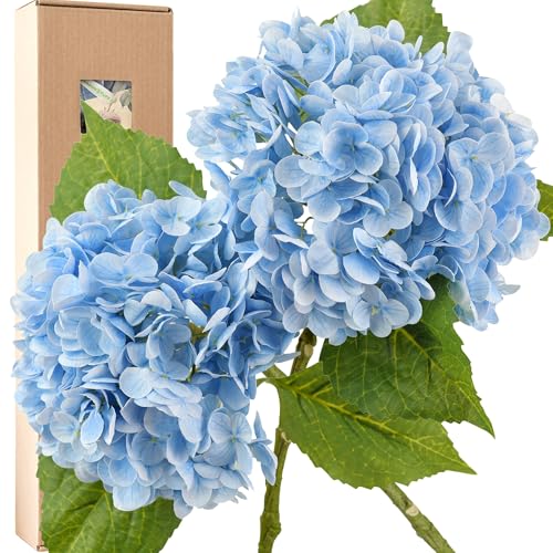 FiveSeasonStuff Real Touch Silk Hydrangea Flowers, 2 Large Long Stem Artificial Flowers for Floral Arrangements (Heavenly Blue) - color: Heavenly Blue (2 Stems)