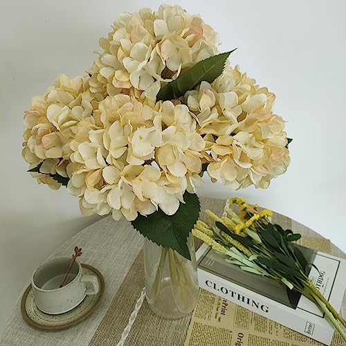 Hydrangea Artificial Flowers,6 Pcs Faux Hydrangea Flowers,Artificial Hydrangeas Flowers with Stems,Fake Hydrangeas,Silk Hydrangeas Flowers with Stems for Home Decor (6, Champagne) - color: Champagne