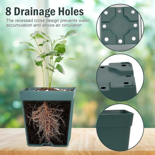 June Fox 100 Pack Green Square Nursery Pots with Drainage Holes 3.3 Inches Flexible Plastic Seedling Pots Square Pots for Plants, Succulent, Flower, with Plant Labels - color: Green