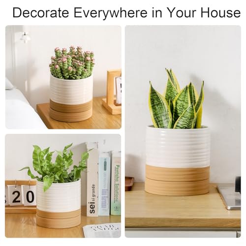 HASENSE Ceramic Plant Pots with Saucers Set of 3, 8+6+4.6 Inch Planters for Indoor Plants with Drainage Holes,Two-Tone Design White Flower Pots for Snake Plants & Cactus,Home & Office Decor - color: White