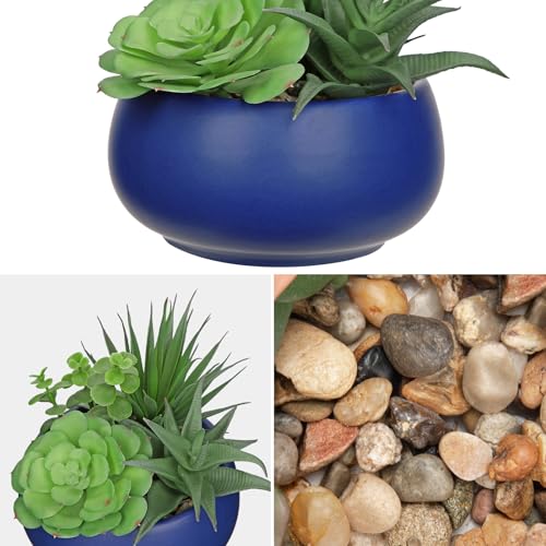 Fake Plants Artificial Succulents in Pots Faux Succulent Arrangement Potted Plant with Blue Ceramic Pot for Home Decor Modern Office Desk Bathroom Shelf Living Room Indoor & Outdoor Decoration - color: Matte Blue