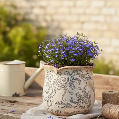 Xiaan Jiaju Ceramic Pots for Plants, Vintage Plant Pot with Drainage Hole, 6.11in. Planter for Indoor Plants, Crackle Glaze Finish Flower Pot, Perfect Tuscan Ceramic Planter for Gardening, Gray Swirls - color: Gray Swirls