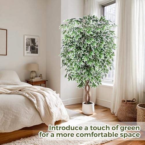 Jocoevol 6FT Artificial Ficus Tree, Tall Faux Trees Indoor with White Planter, Dried Moss, Natural Silk Leaves & Trunk, Fake Plants for Home Living Room Office Corner Decor Housewarming Gift - color: White Border, size: 6ft