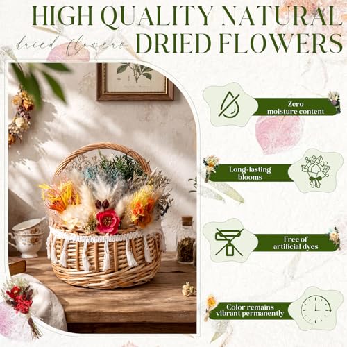 Layhit 12 Pcs Boho Dried Flower Bouquet Mini Wedding Handmade Dry Flowers Decor for Vase Crafts DIY Photo Boutonniere for Men Floral Plant for Bridesmaid Gift Birthday Decor(Camellia) - style: Camellia
