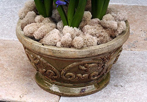 SuperMoss (21498) Reindeer Moss – Soft Preserved Moss for Home Decor, Crafts, Terrariums, Floral Design, and Wedding Decorations, 2,588 cu in, Natural - color: Natural, size: Appx. 10 lb Bulk Case