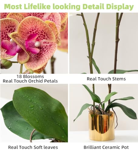 CXGS Artificial Orchid Flower Plant Real Touch Faux Orchids in Ceramic Vase Purple Dapple 19.7'' Fake Phalaenopsis Flower Arrangement Centerpiece Home Indoor Decor - color: Purple Dapple- Golden