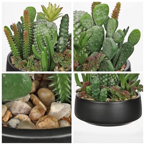 DILATATA Artificial Cactus Plants in Pot 5.5 Inch Fake Succulents Arrangement Potted Plant in Black Ceramic Planter Bowl for Home Office Desk Shelf Living Room Bedroom Bathroom Decor - color: Black Ceramic#style 1