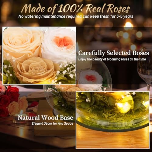 Preserved Champagne Real Rose in Glass with Scented Candles – Forever Flower Romantic Anniversary Christmas Birthday Valentines Mothers Day Gifts for Mom, Women, Wife, Girlfriend, Her, Grandma - color: Champagne