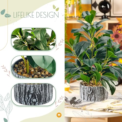Der Rose 2 Pack Fake Plants Artificial Plants Indoor with Black and White Striped Pots for Room Home Bathroom Bedroom Kitchen Decor - color: 2packs-green