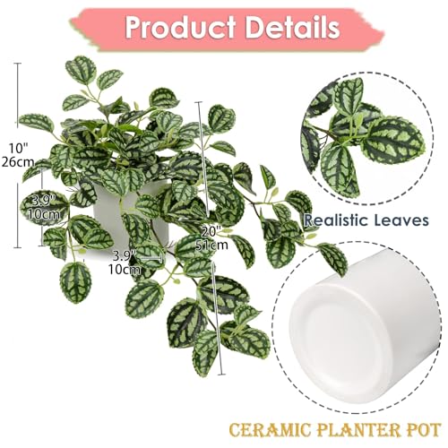 GnFlus Fake Hanging Plants, 20 Inch Artificial Ivy Plant in Ceramic Pot Faux Watermelon Peperomia Trailing Vine Plant Potted for Home Bedroom Office Table Shef Desk Indoor Outdoor Decor Green - color: Green-ceramic Pot