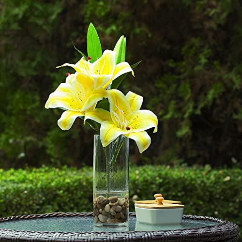 Enova Floral Cylinder Glass Vase 5 x 12 Inches Round Large Flower Vase, Pillar Candle Floating Candle Holder Vase, Tall Glass Vase for Flowers, Glass Vase for Decor, Wedding Centerpieces (1 Piece) - size: 5W X 12H